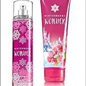 Winterberry wonder set of 2